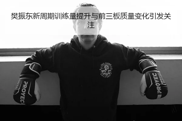樊振东新周期训练量提升与前三板质量变化引发关注