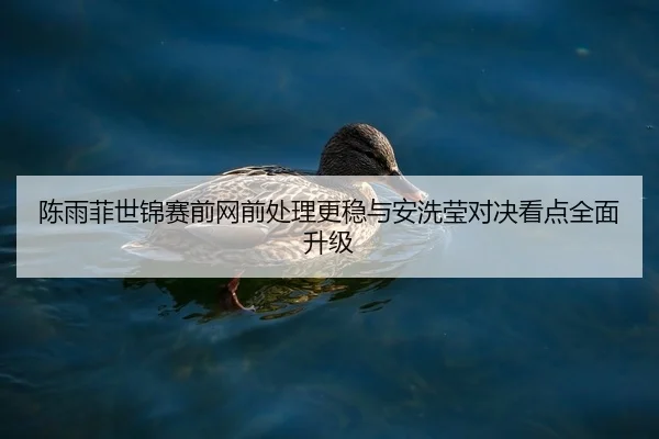 陈雨菲世锦赛前网前处理更稳与安洗莹对决看点全面升级